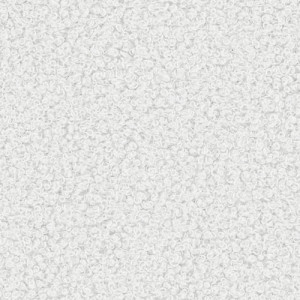 NOW OR NEVER 2 WHITE 